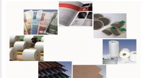 Papel de Embalagem e Cartolina, Papéis Gráficos, Papel higiênico, Papéis especiais, Tecidos não tecidos
